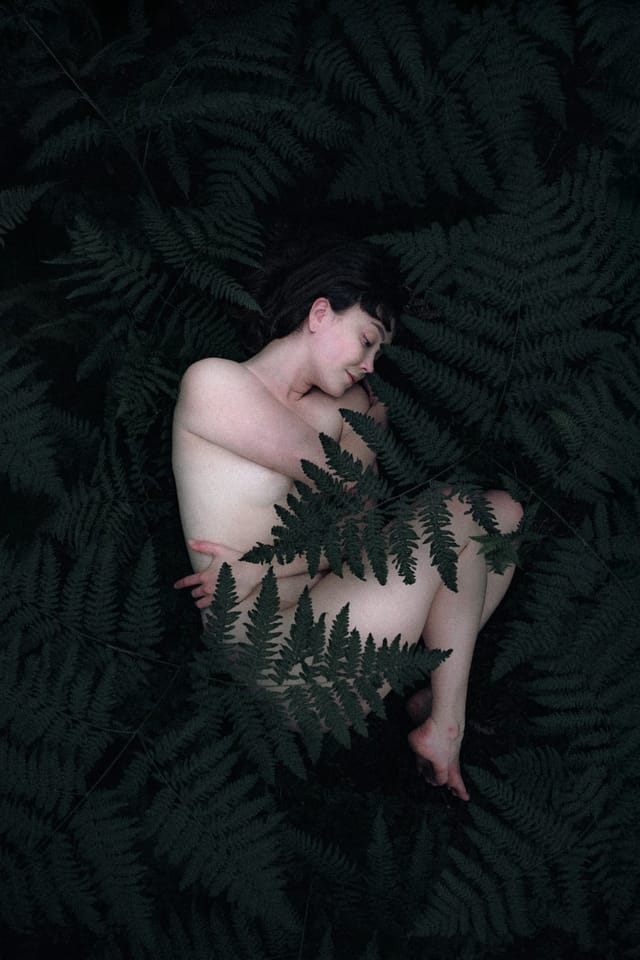 A resting body held among ferns and the forest floor, catalog number 7, from the Fernbed Body series
