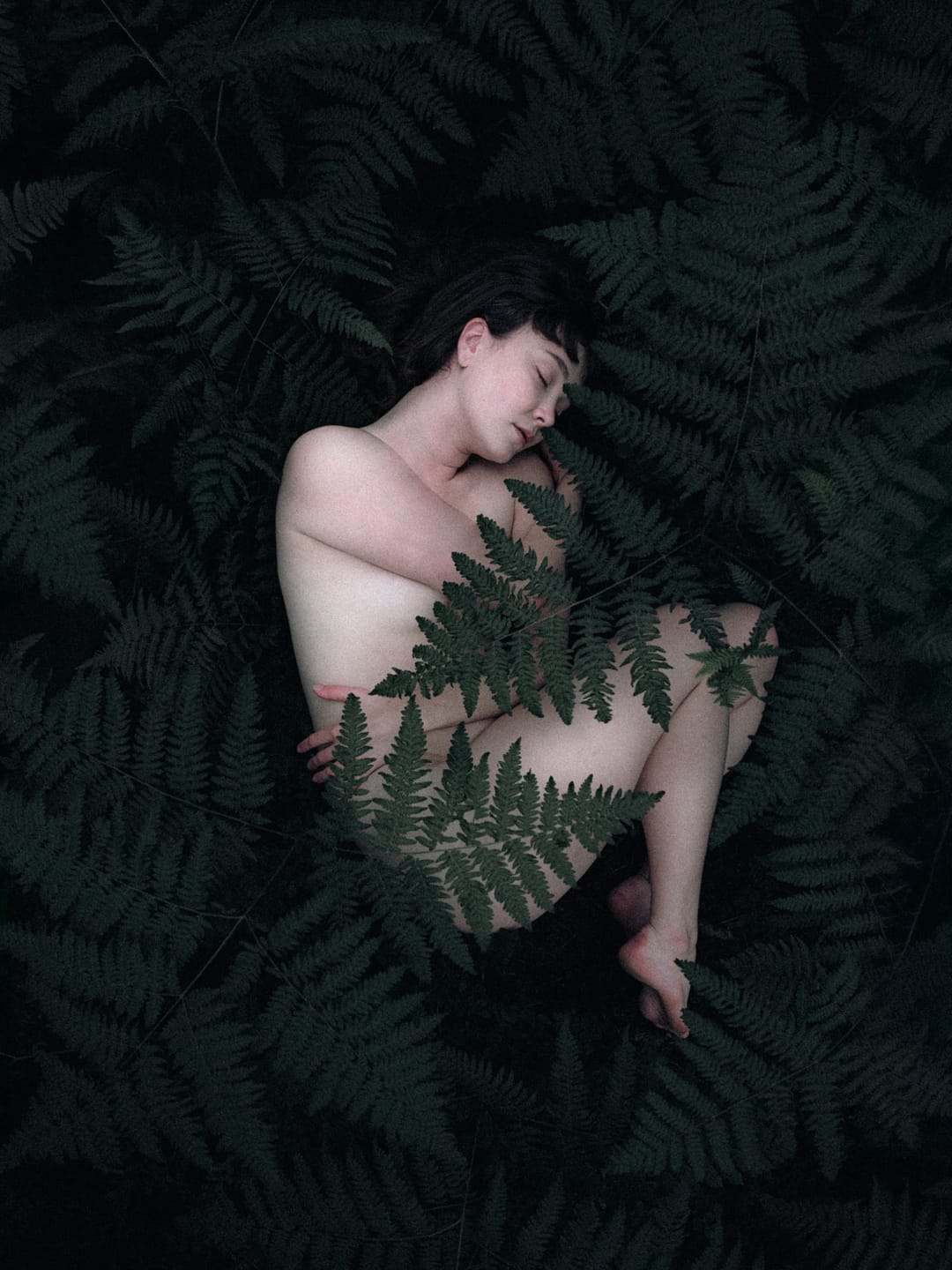 A resting body held among ferns and the forest floor, catalog number 4, from the Fernbed Body series