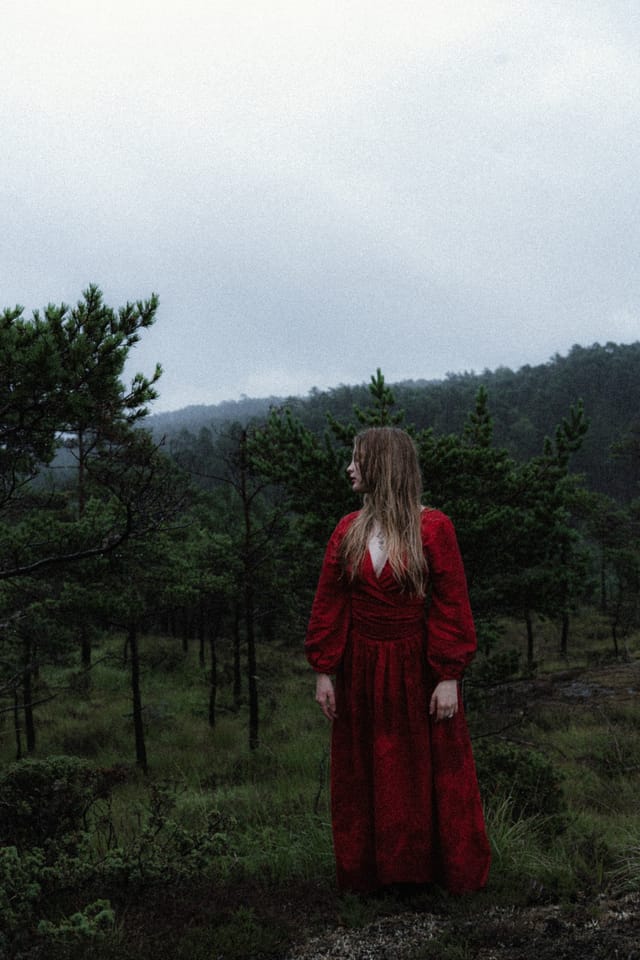 A solitary woman in red facing away in a sparse mountain forest