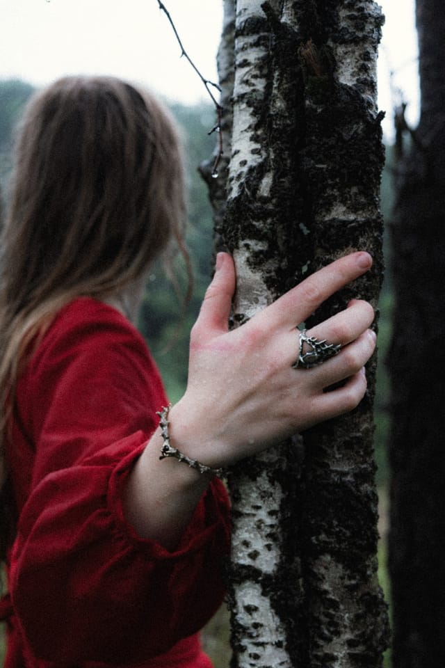 A close hand pressed to birch bark beside a red dress in wet woodland