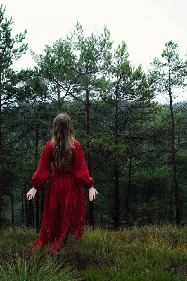 A woman in a trailing red dress walking away through young pines