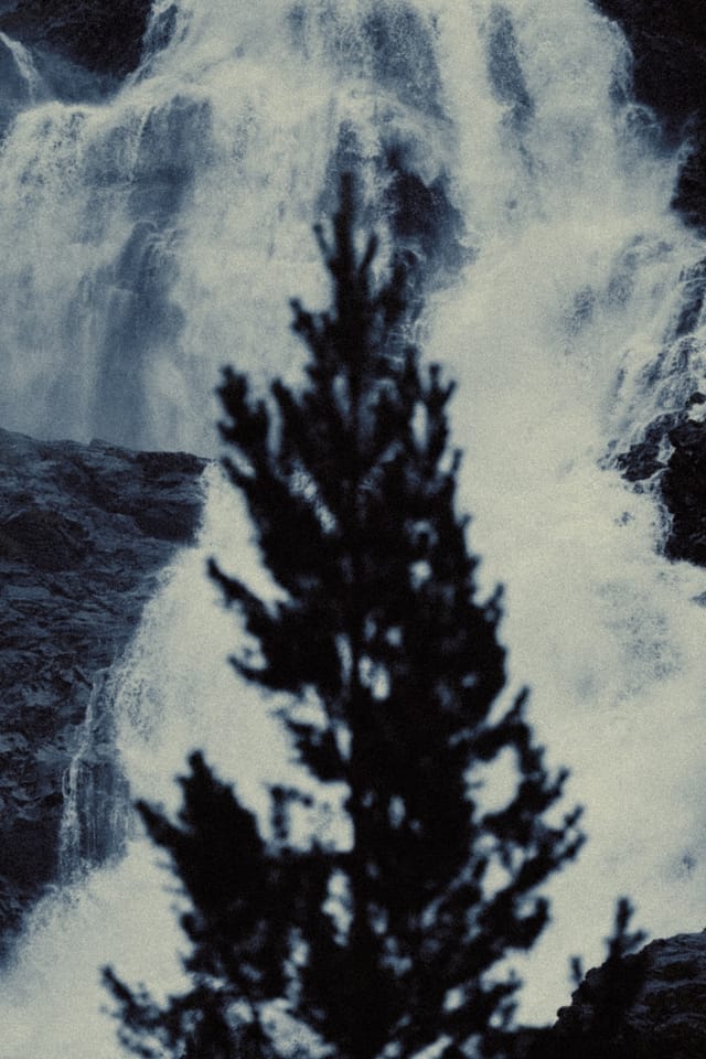 A blurred evergreen standing before a luminous wall of falling water