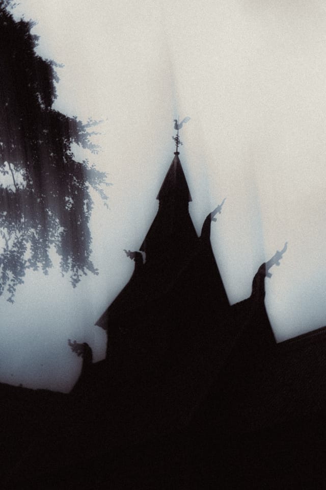 A stave church spire framed by dark boughs and pale sky