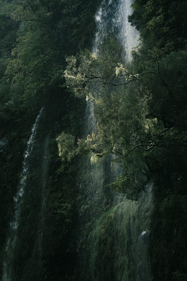 A slender waterfall descending through a steep wall of dense green forest