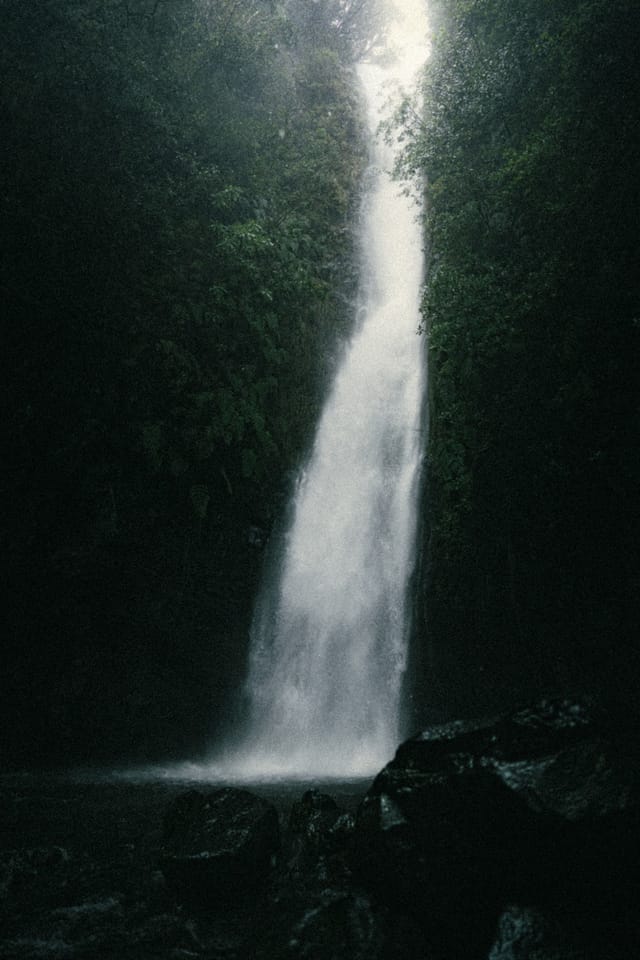 A white waterfall dropping into a shadowed basin surrounded by deep green vegetation