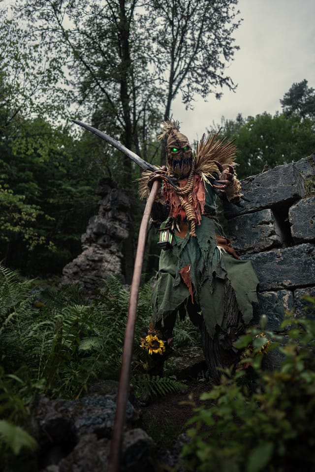 Fiddlesticks costume portrait among woodland shadows, selected work number 3