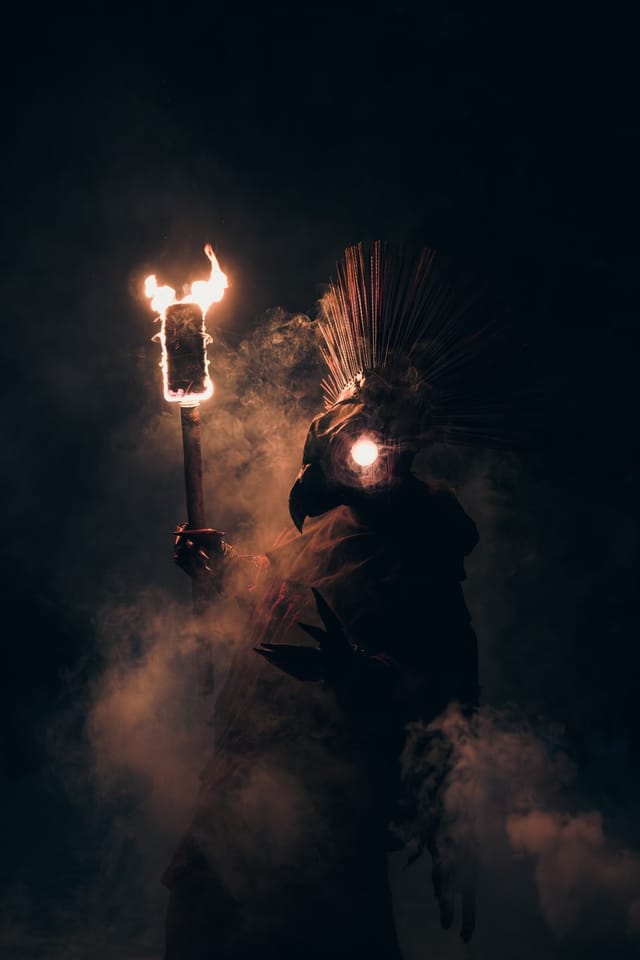 Fire Bird costume portrait in a winter landscape, selected work number 11