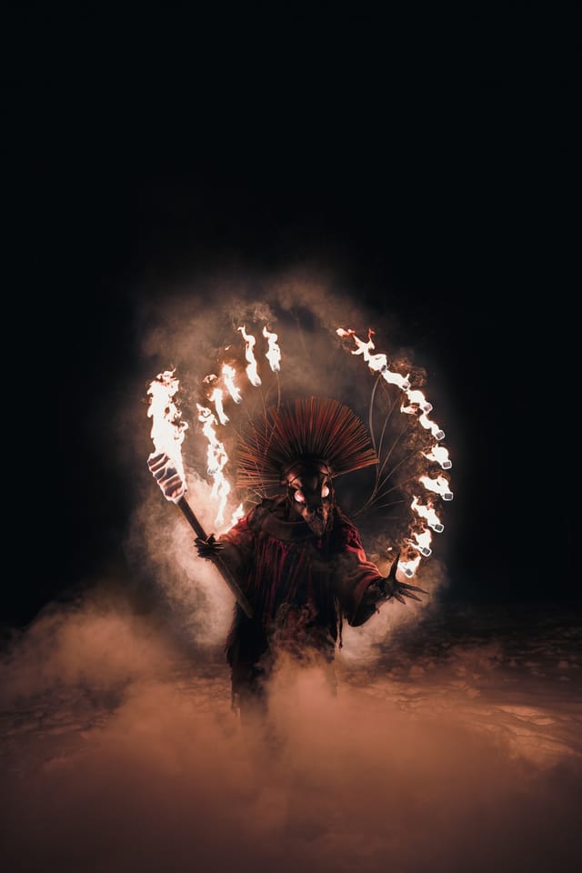 Fire Bird costume portrait in a winter landscape, selected work number 12