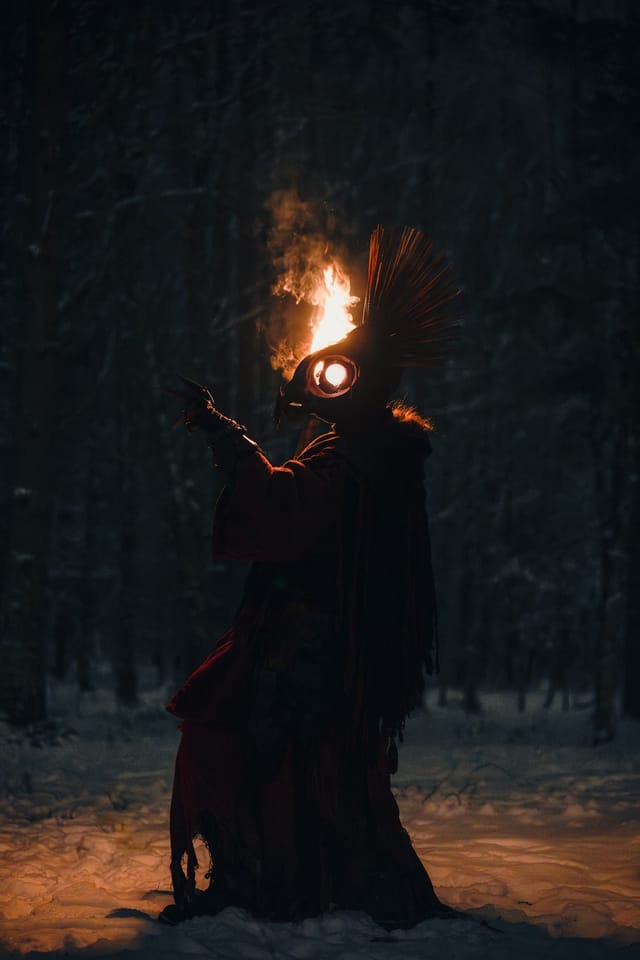 Fire Bird costume portrait in a winter landscape, selected work number 13