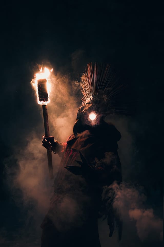 Fire Bird costume portrait in a winter landscape, selected work number 14