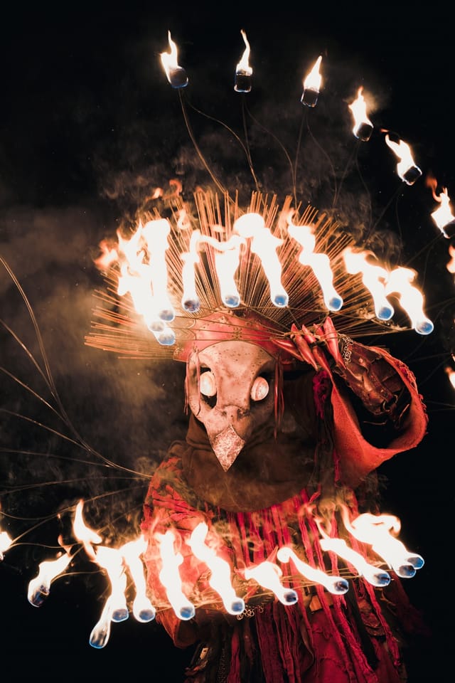 Fire Bird costume portrait in a winter landscape, selected work number 17
