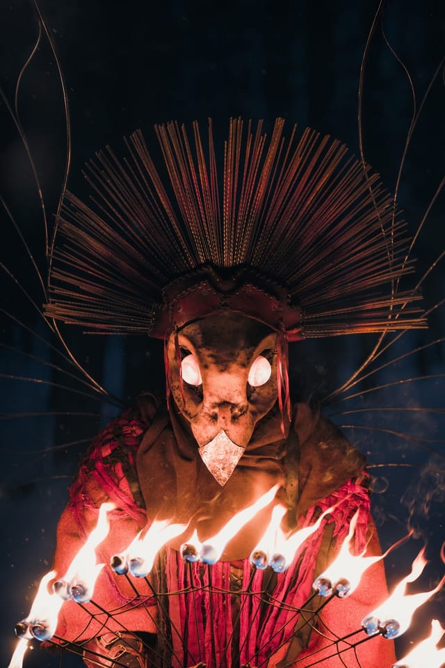 Fire Bird costume portrait in a winter landscape, selected work number 18