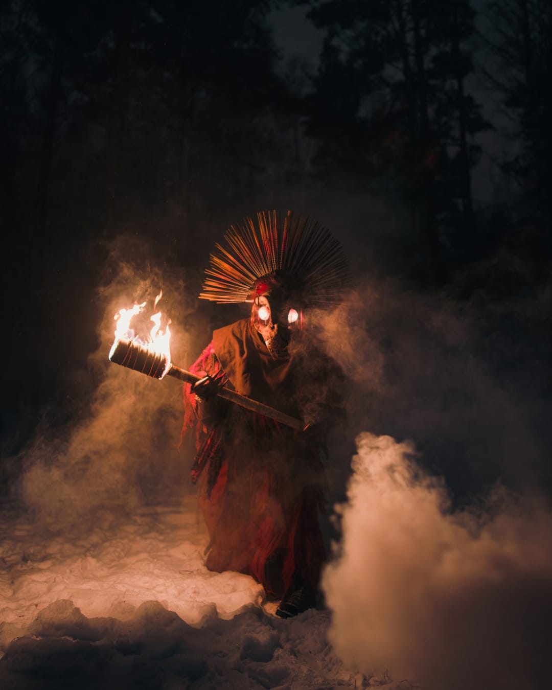 Fire Bird costume portrait in a winter landscape, selected work number 20