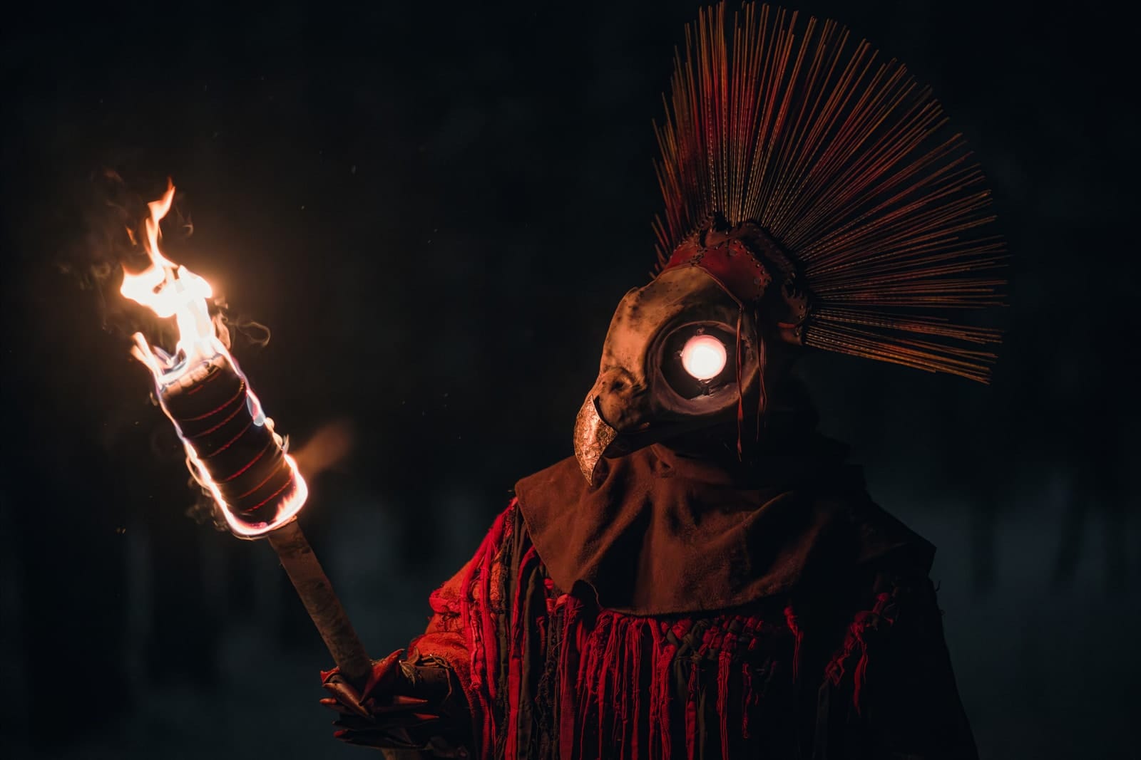 Fire Bird costume portrait in a winter landscape, selected work number 21