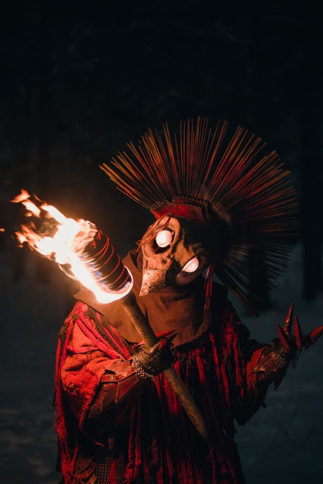 Fire Bird costume portrait in a winter landscape, selected work number 22