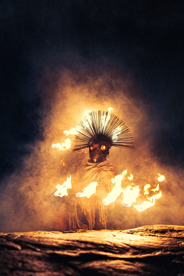 Fire Bird costume portrait beside Söderbysjön, selected work number 23