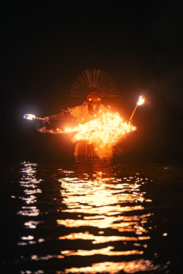 Fire Bird costume portrait beside Söderbysjön, selected work number 24