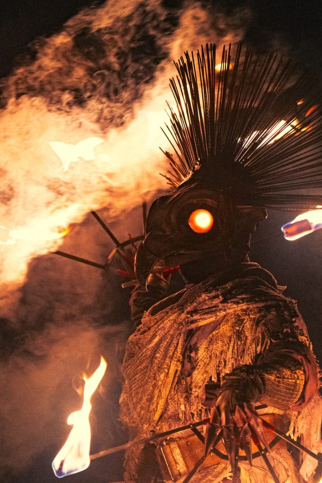 Fire Bird costume portrait beside Söderbysjön, selected work number 27