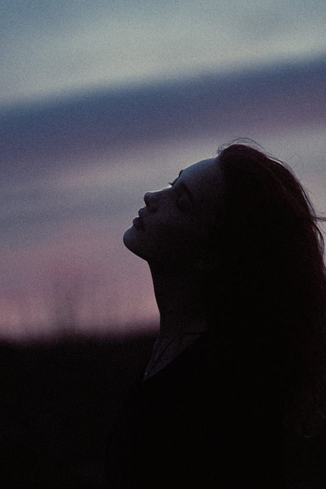 A portrait held against the day's last colour and gathering darkness, catalog number 11, from the Twilight Portraits series