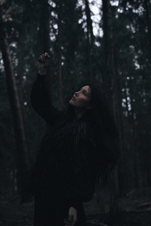 A portrait held against the day's last colour and gathering darkness, catalog number 50, from the Twilight Portraits series