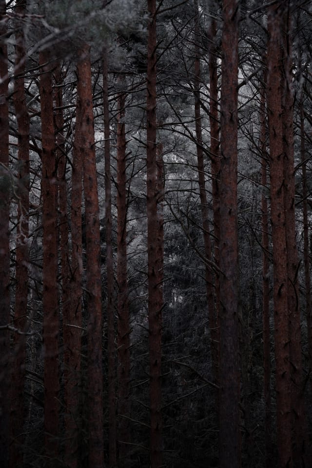 Low light across a darkened landscape and sky, catalog number 1, from The Quiet Dark collection