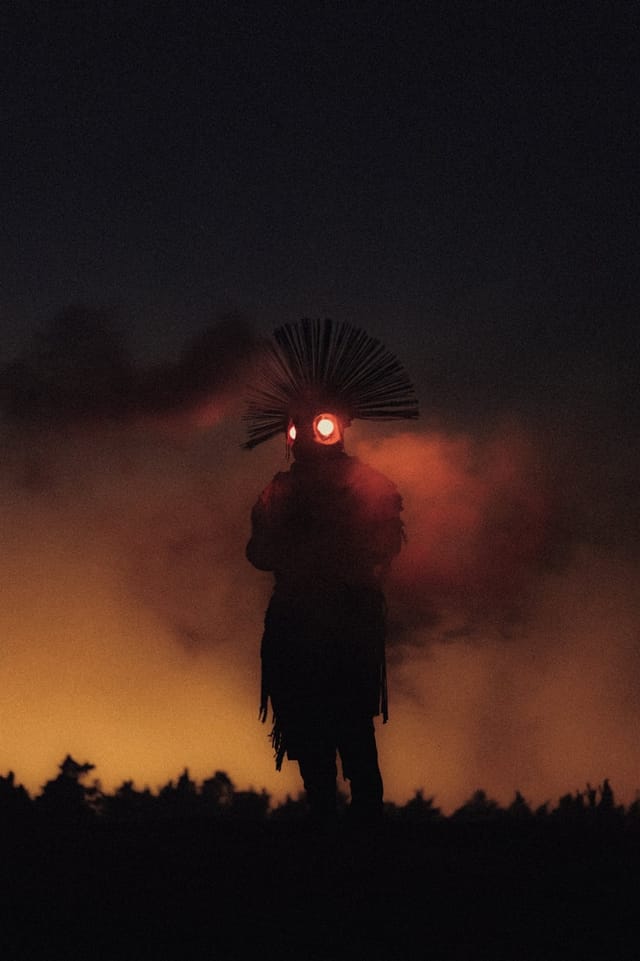 Selected work from the Fire Bird series, catalog number 4