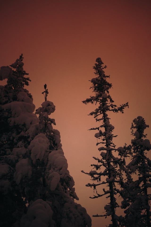 Low light across a darkened landscape and sky, catalog number 20, from The Quiet Dark collection