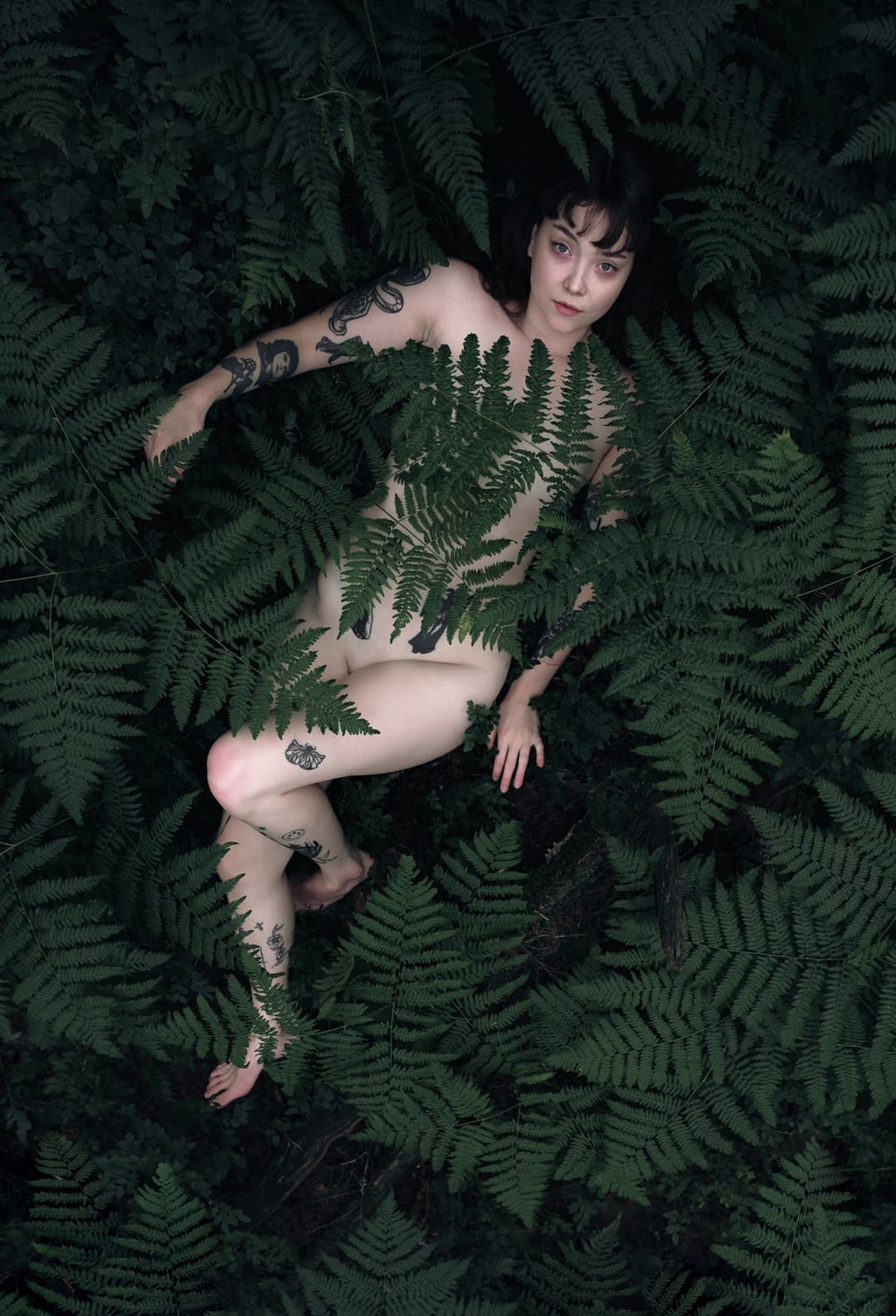 A resting body held among ferns and the forest floor, catalog number 11, from the Fernbed Body series