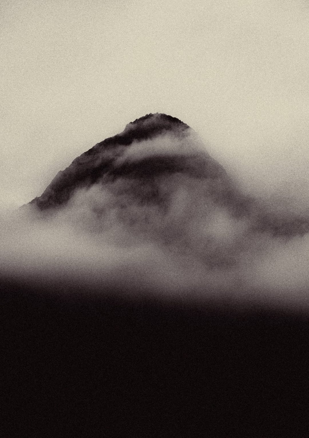 Trees emerging and receding through layers of mist, catalog number 54, from the Fog-Shrouded Trees series