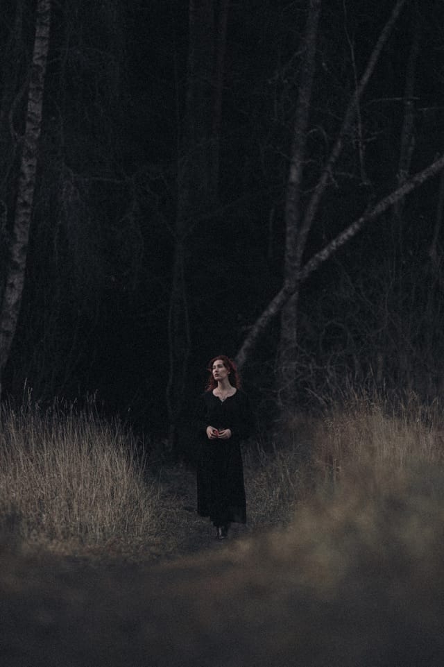 A portrait held against the day's last colour and gathering darkness, catalog number 33, from the Twilight Portraits series