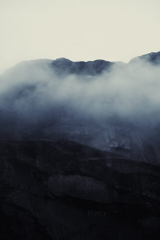 Trees emerging and receding through layers of mist, catalog number 48, from the Fog-Shrouded Trees series