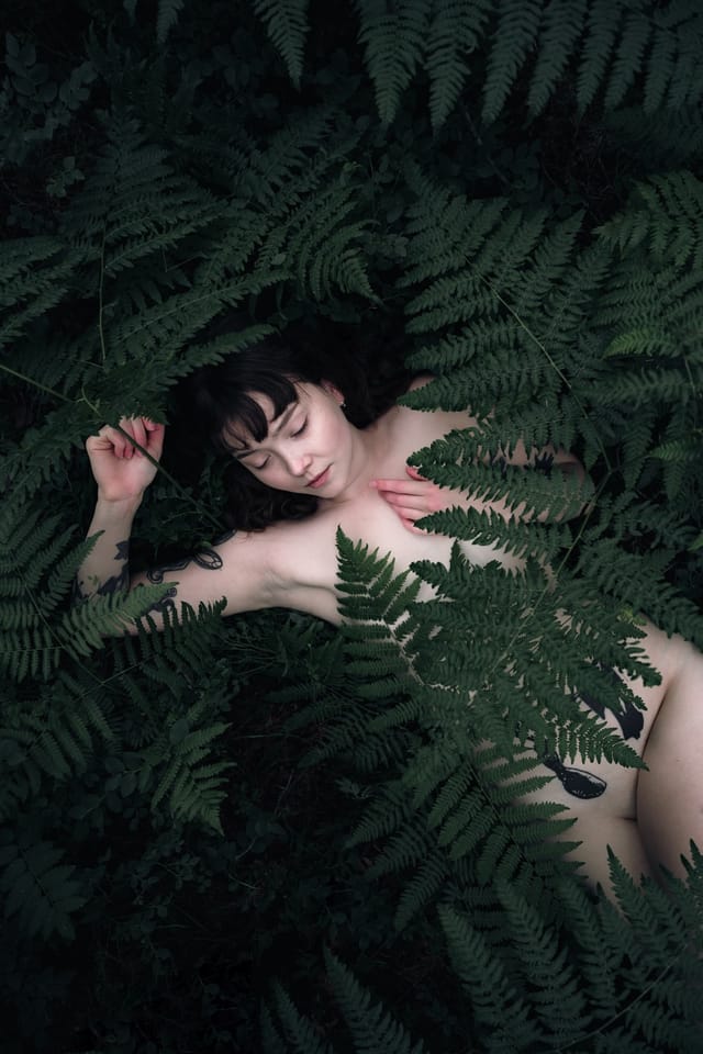 A resting body held among ferns and the forest floor, catalog number 1, from the Fernbed Body series