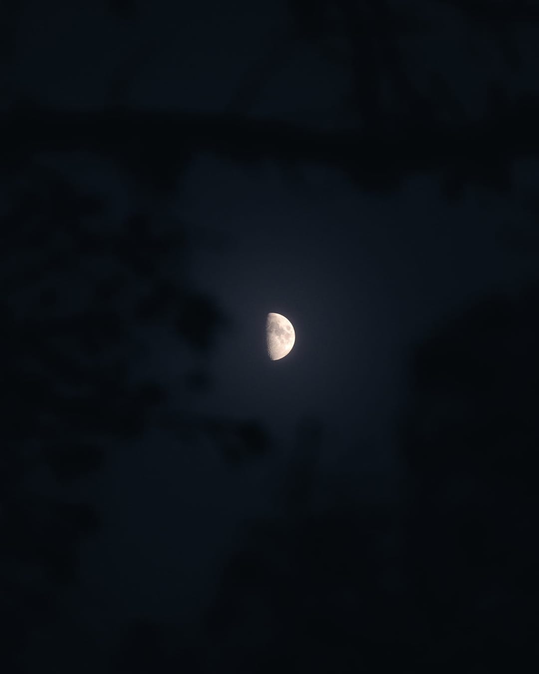 Low light across a darkened landscape and sky, catalog number 26, from The Quiet Dark collection