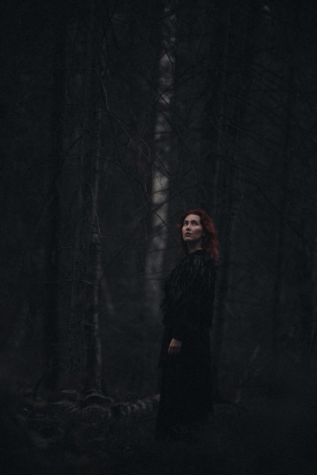 A portrait held against the day's last colour and gathering darkness, catalog number 73, from the Twilight Portraits series