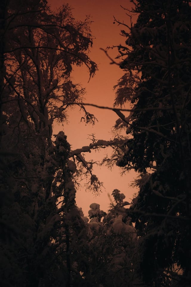 Low light across a darkened landscape and sky, catalog number 8, from The Quiet Dark collection