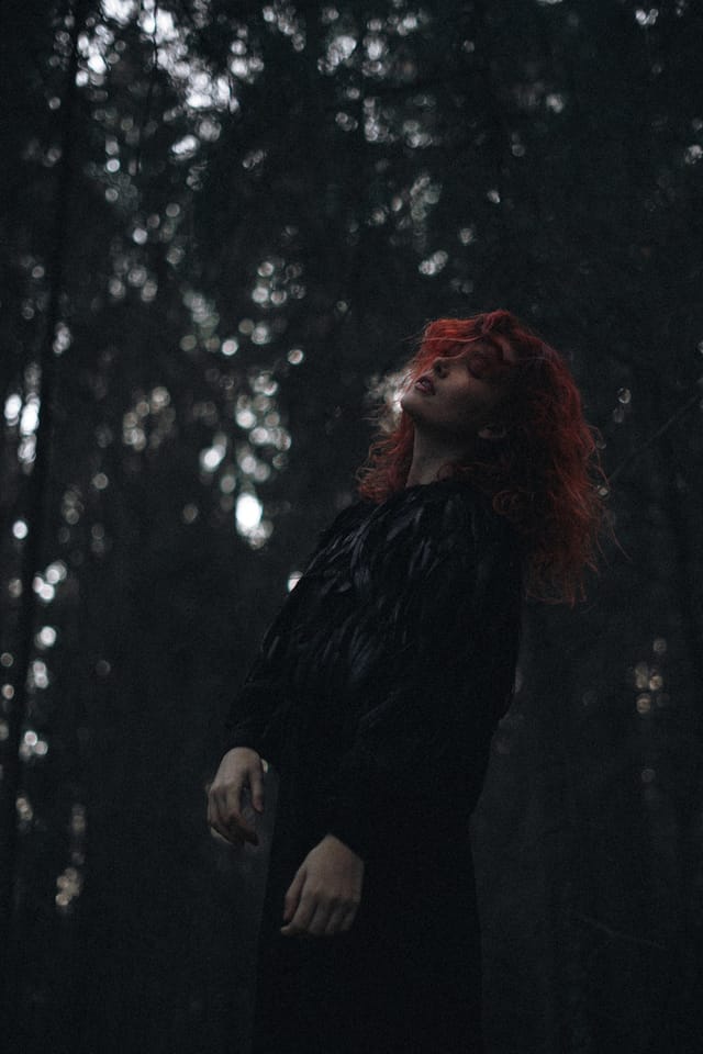 A portrait held against the day's last colour and gathering darkness, catalog number 83, from the Twilight Portraits series