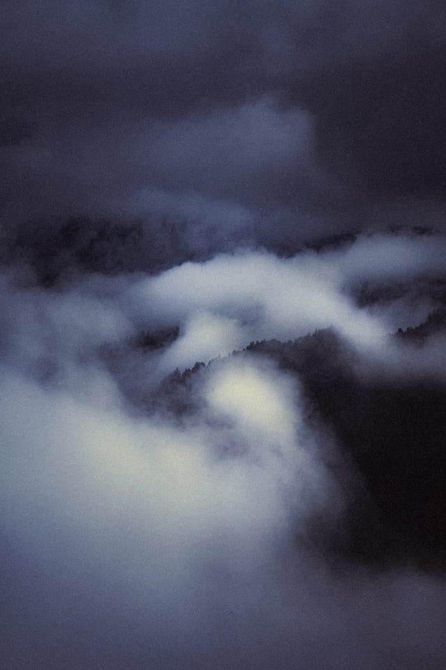 Trees emerging and receding through layers of mist, catalog number 36, from the Fog-Shrouded Trees series