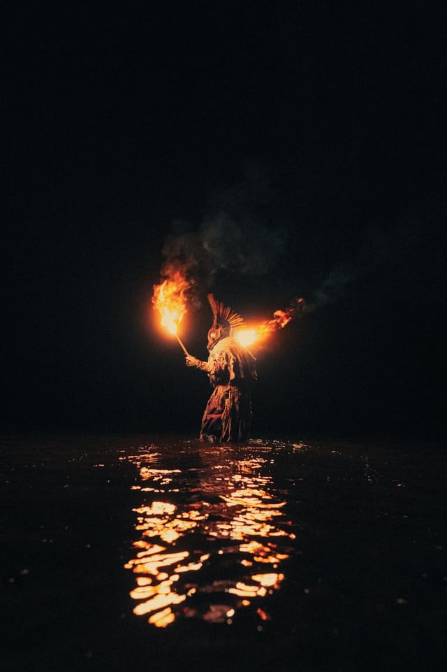 Selected work from the Fire Bird series, catalog number 5