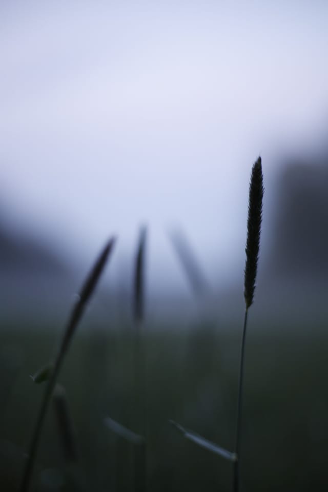 Low light across a darkened landscape and sky, catalog number 20, from The Quiet Dark collection