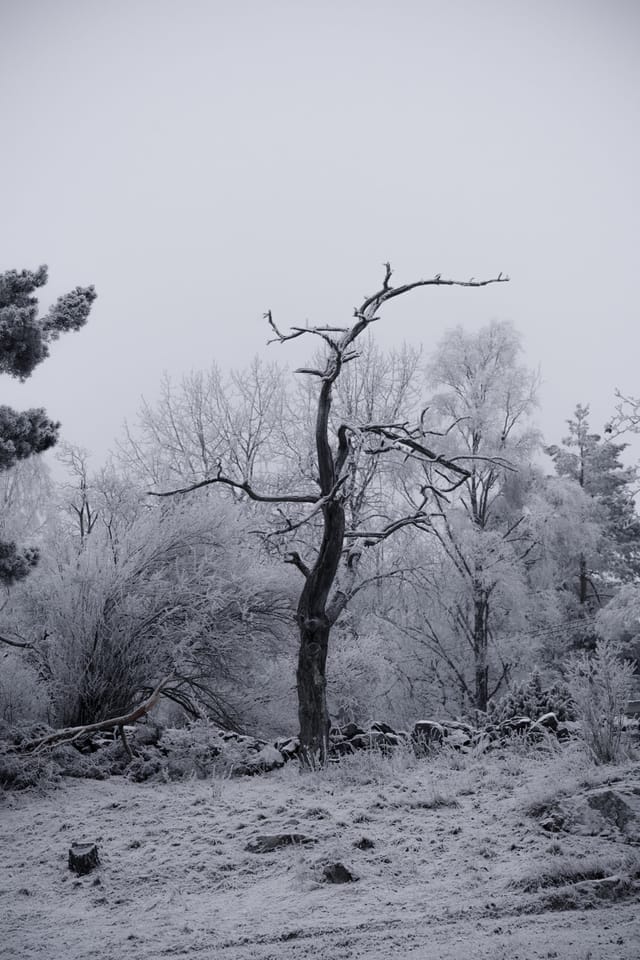 Low light across a darkened landscape and sky, catalog number 28, from The Quiet Dark collection