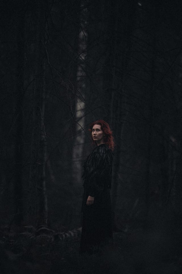 A portrait held against the day's last colour and gathering darkness, catalog number 58, from the Twilight Portraits series