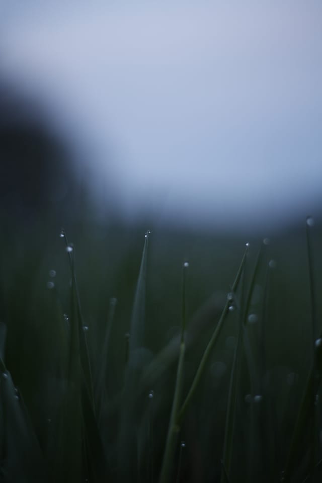 Low light across a darkened landscape and sky, catalog number 22, from The Quiet Dark collection