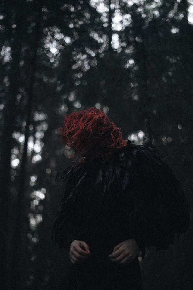 A portrait held against the day's last colour and gathering darkness, catalog number 85, from the Twilight Portraits series