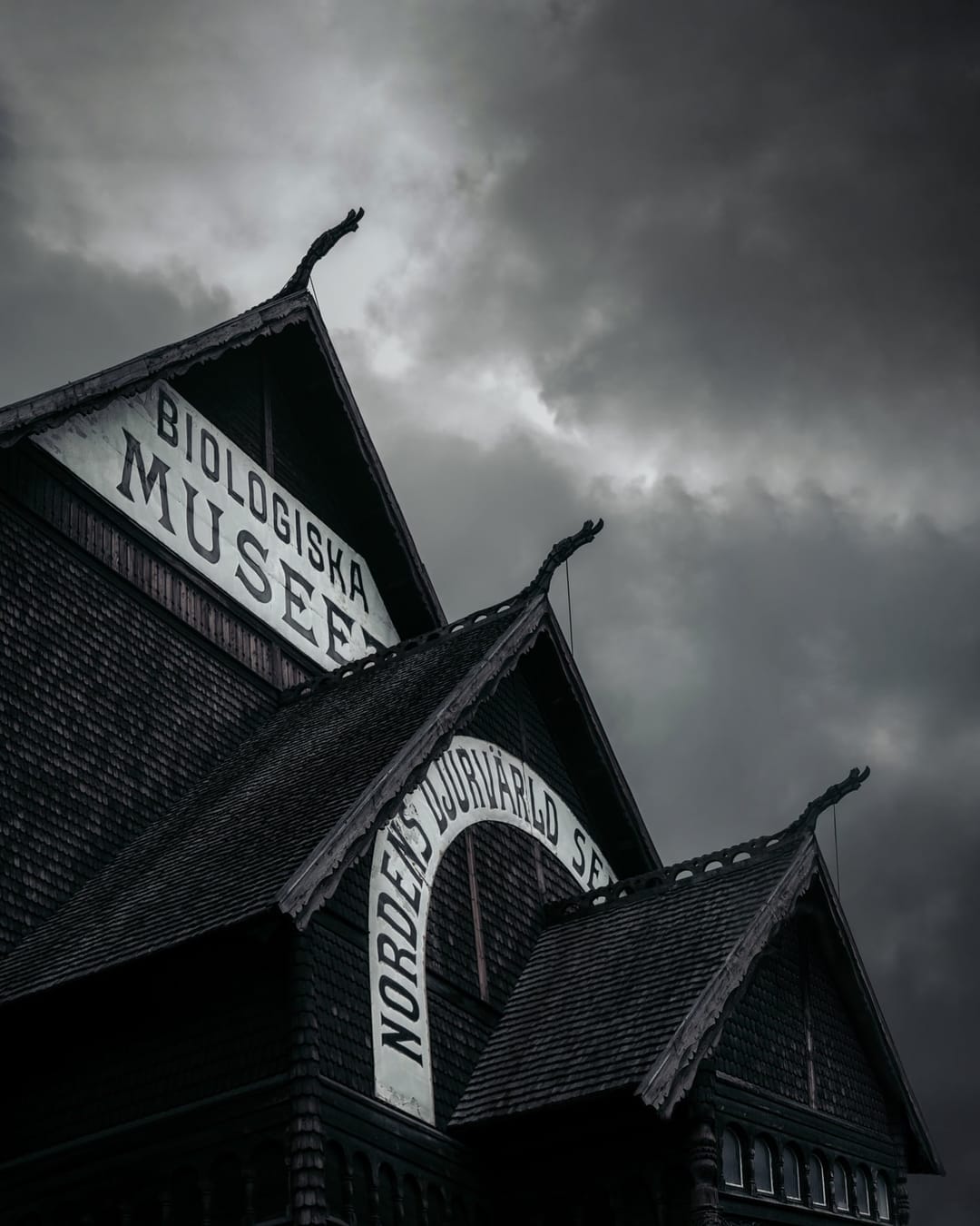 Timber architecture, ornament and changing light at a stave church, catalog number 41, from the Stave Churches collection