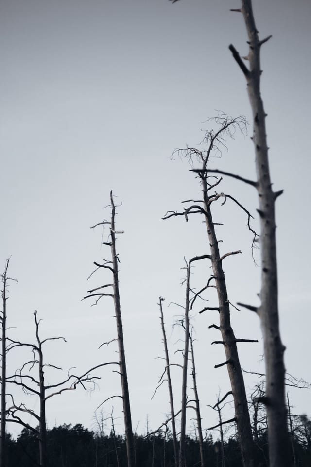 Low light across a darkened landscape and sky, catalog number 18, from The Quiet Dark collection