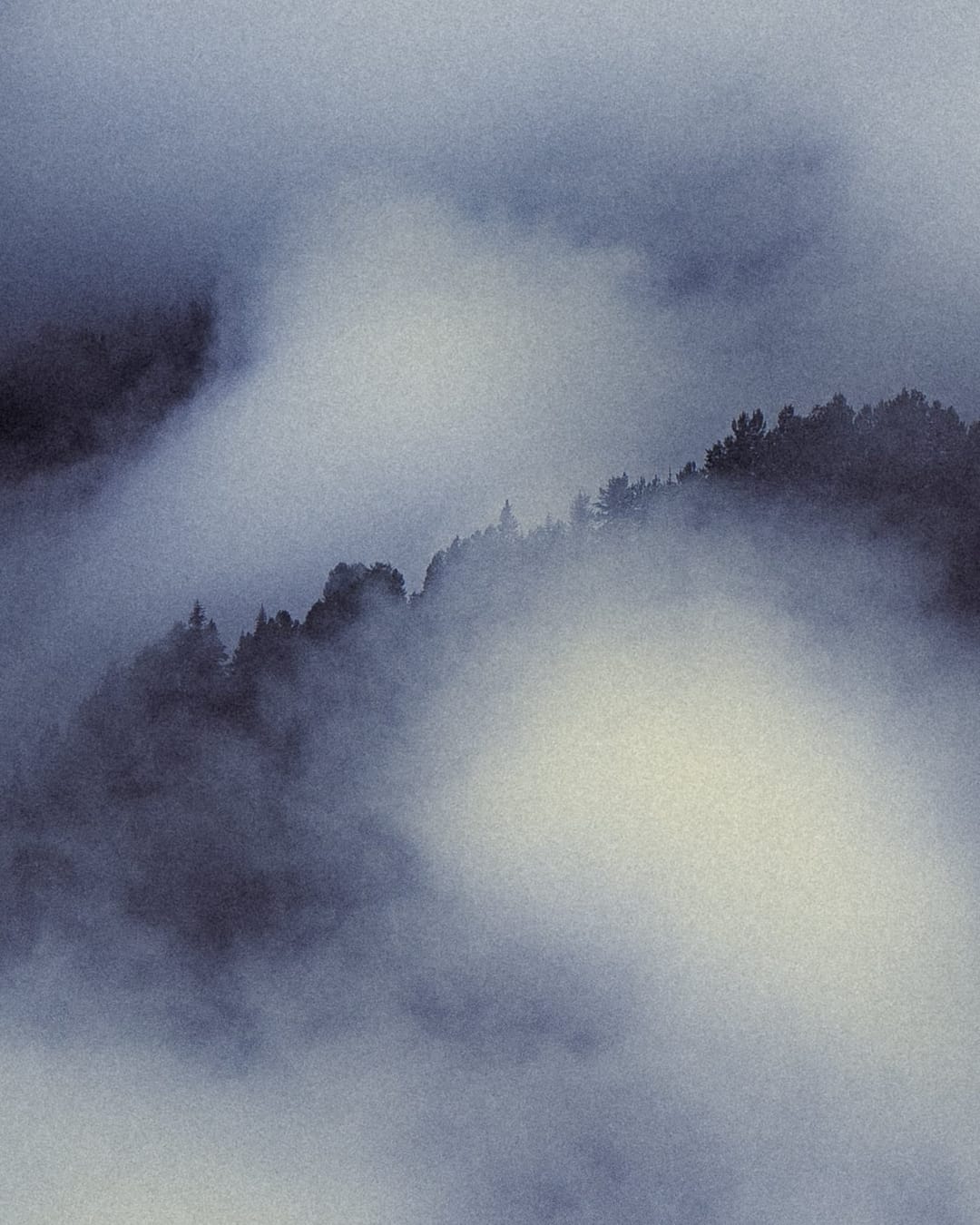 Trees emerging and receding through layers of mist, catalog number 20, from the Fog-Shrouded Trees series