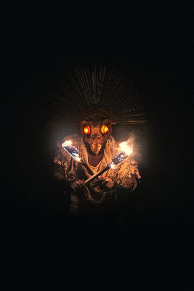 Selected work from the Fire Bird series, catalog number 8