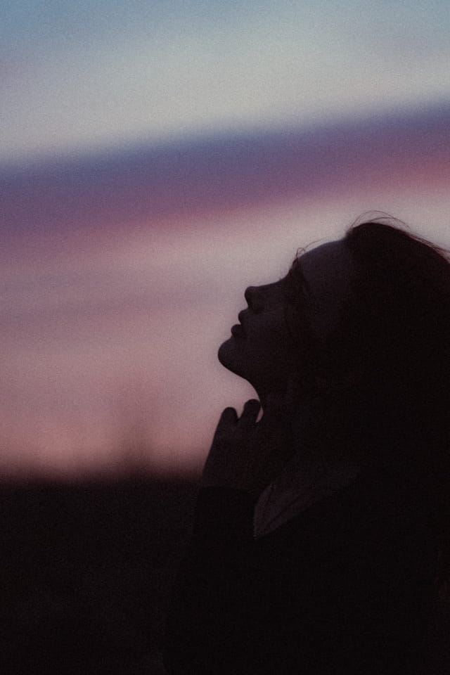 A portrait held against the day's last colour and gathering darkness, catalog number 24, from the Twilight Portraits series