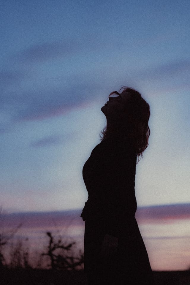 A portrait held against the day's last colour and gathering darkness, catalog number 8, from the Twilight Portraits series
