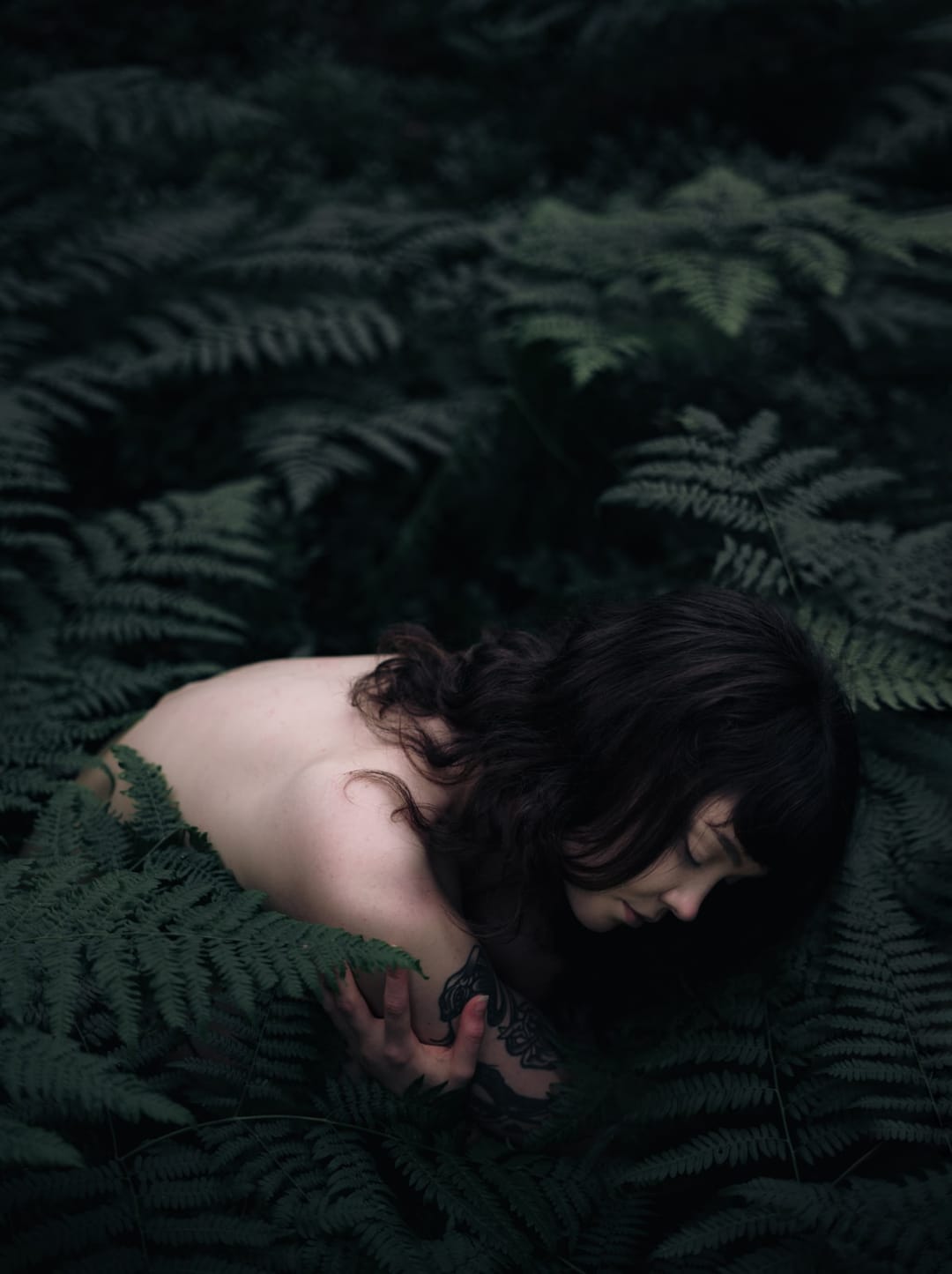 A resting body held among ferns and the forest floor, catalog number 2, from the Fernbed Body series